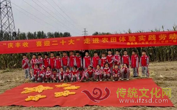 蠡县实验二小组织开展劳动实践活动