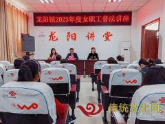 龙阳司法所组织开展“三八”妇女节普法宣传活动