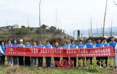 长江师范学院青年志愿者开展2023植树实践活动