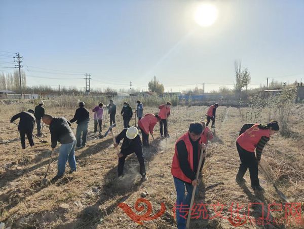 温宿县吐木秀克镇帕万拉村：整地先行促植绿